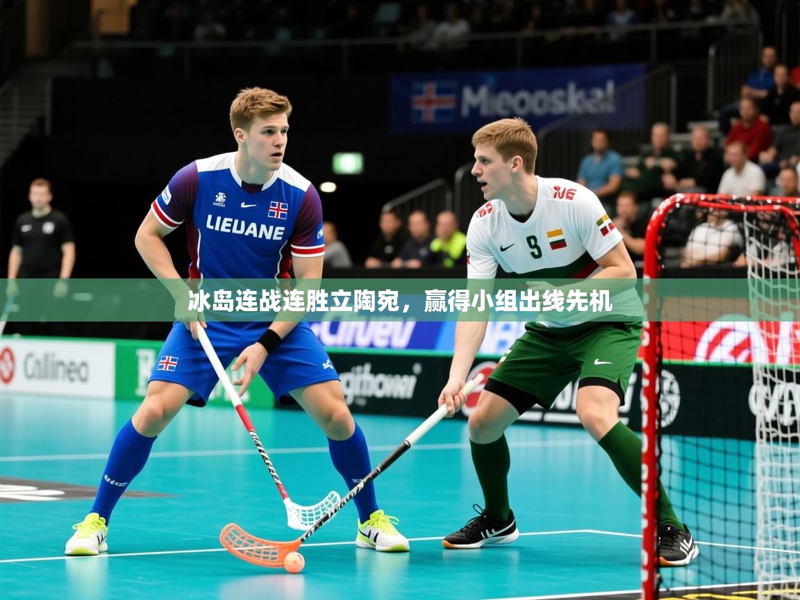 2025 意昂体育注册冰岛连战连胜立陶宛,赢得小组出线先机 第1张