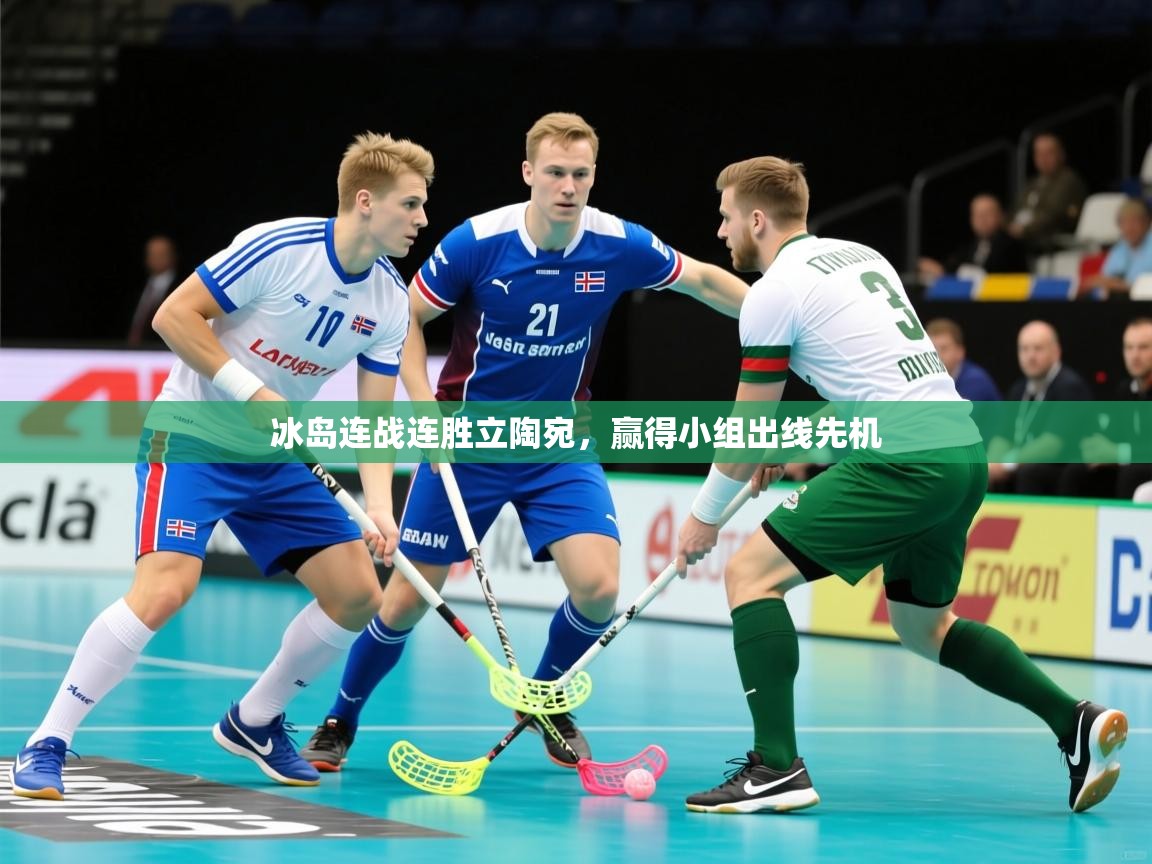 2025 意昂体育注册冰岛连战连胜立陶宛,赢得小组出线先机 第4张