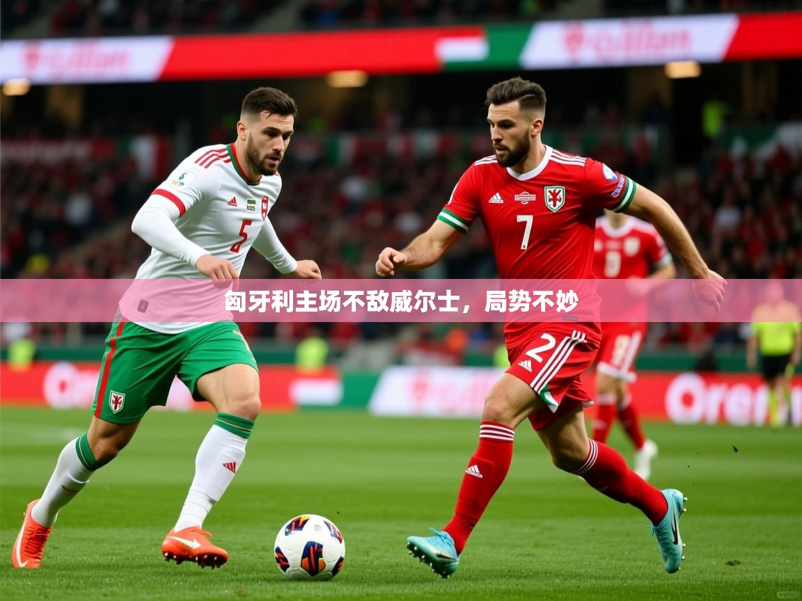 2026 意昂体育平台是干什么的匈牙利主场不敌威尔士，局势不妙